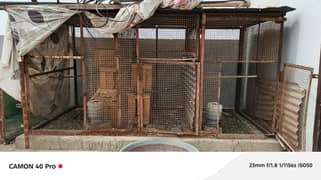 Big Iron Cage / Pinjra