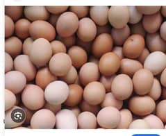 pure desi eggs