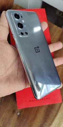 One Plus 8 Whatsapp Number 03193220576