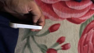 Urget need of cash(only serious person contact)