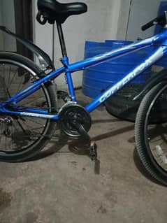 japani cycle