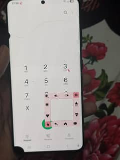 Samsung Galaxy S21 ultra panel damage zoom camera dust