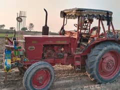 rosi Trector
