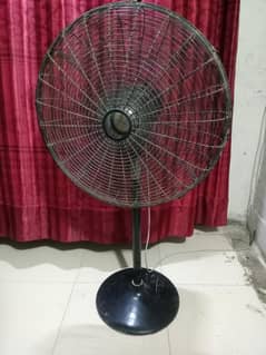 Polo pedestal fan