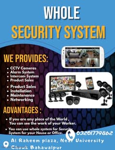 whole security services system