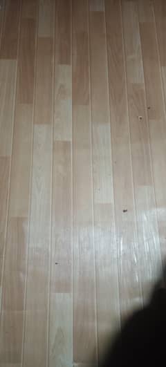 carpet for office