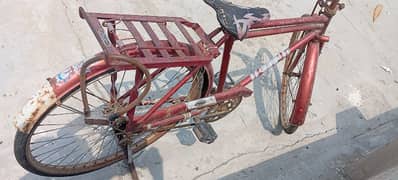 pego company Baba cycle