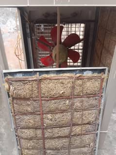 lahori cooler