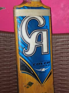 hard ball bat CA