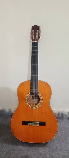 Powerbeat Classical Guitar (Original) with Versace bag