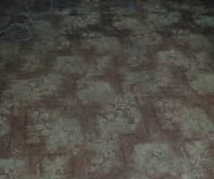 Carpet