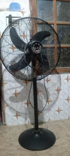 royal padestal fan