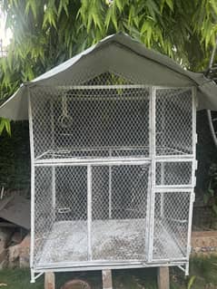 Iron Hen/Parrot Cage