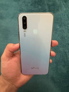 Vivo