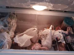 deep freezer