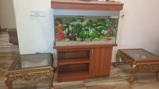 AQUARIUM