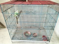 Cage