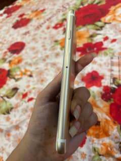 I phone 7