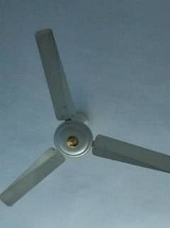 Asia Fan price 4000 final last