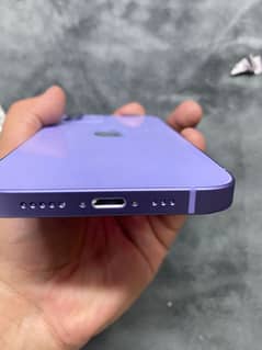 iPhone 12 official pta approved available for sale