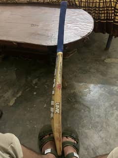 cricket bat