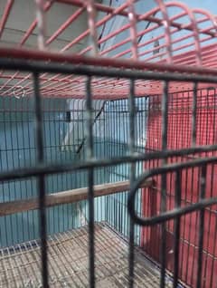 cage