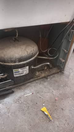 gernal frezar orgnal gass per