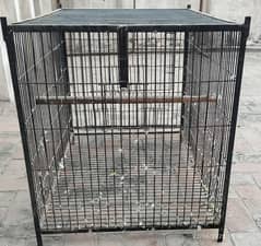 birds cage