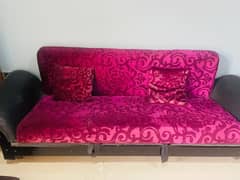 Molty Foam Sofa Cum Bed