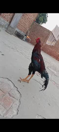 do