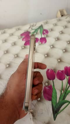 iPhone 12 Pro Max dual Sim PA approved