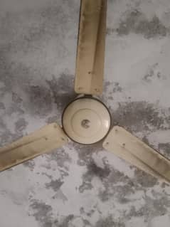 ceiling
