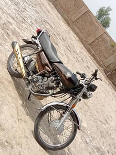 125, self 2024 golden special edition