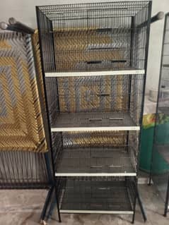 0327-0277654/cage/cocktail/albino/cremino/Australian/love bird/parrot/