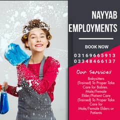 Nurse Staff, Driver, Maid, Nurse, House Maid, Babysitter, Patient Car