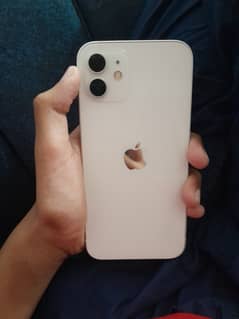 Apple iPhone 12