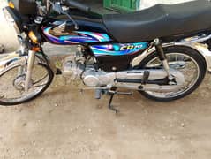 model 23/24 03401655575