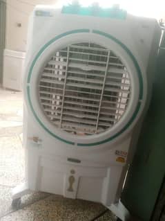 coollar