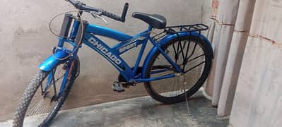 Chicagoo Cycle
