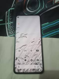pixel 5a non pta
