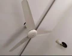 SK