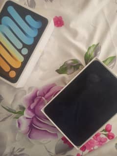 Ipad Mini 6 64 Wifi