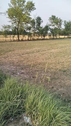 Premium 8 Kanal Farmhouse Land Plot on Main Bedian Road, Lahore