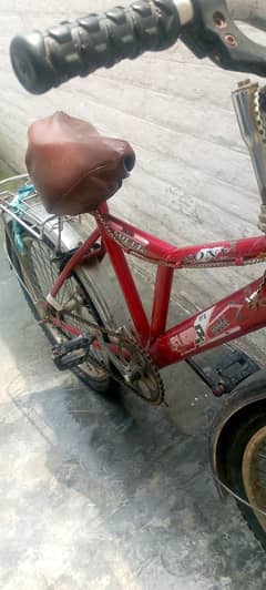 Sony cycle