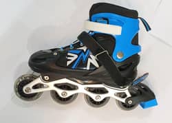 Skating shoes