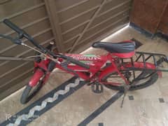 phoenix cycle