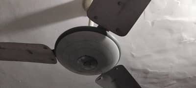 ceiling fan