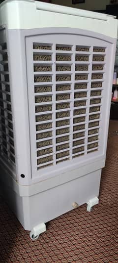 Cooler