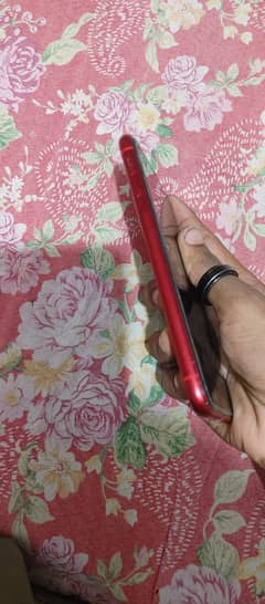 Iphone 11 jv