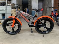 Panther cycle 20”